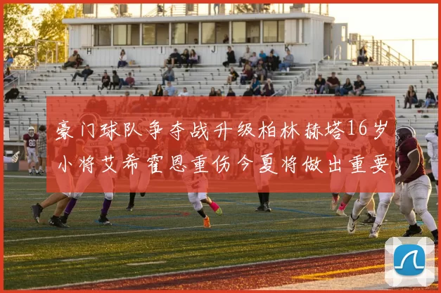 豪门球队争夺战升级柏林赫塔16岁小将艾希霍恩重伤今夏将做出重要决定